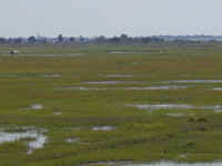 Dscn0460.jpg (65677 bytes)